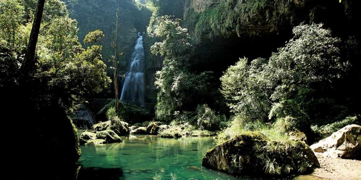 杉林溪森林生態渡假園區-南投私房景點 杉林溪森林生態渡假園區-南投私房景點