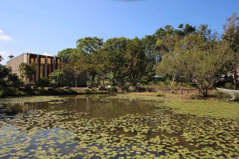 日月潭一日遊景點推薦9：桃米生態村